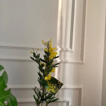 Livio 3* Брешия