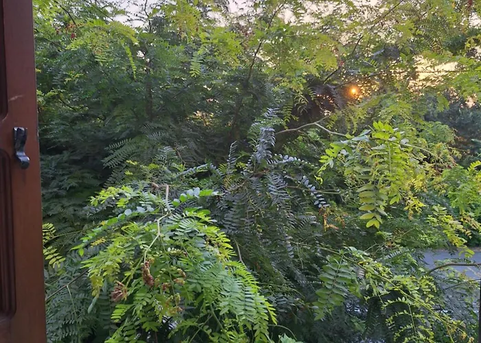 Livio 3* Брешія